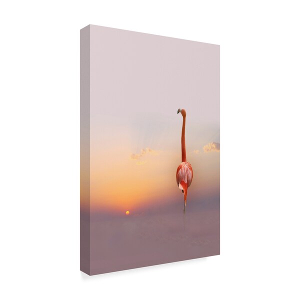 Anna Cseresnjes 'Sunset Flamingo' Canvas Art,12x19